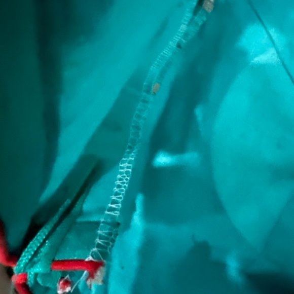 Lashkaraa Teal and Red Saree - Picture 9 of 9